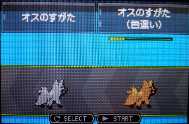 色違いポチエナ グラエナ にゃん太のポケモン日記 Seesaa出張所